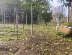 Дома в хорошем месте.