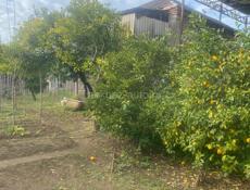 Дома в хорошем месте.