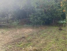 Дома в хорошем месте.