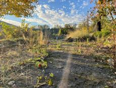 Земельный участок