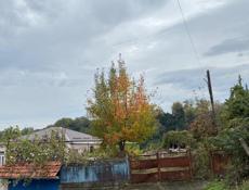 Земельный участок