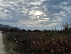 Цандрипш 15 соток 