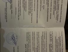 Алахадзы ул Туманяна 