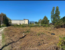 Участок в Сухуме