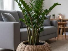 Кашпо из ротанга 