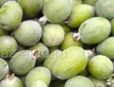 Компот фейхоа 