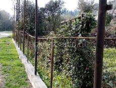 Продажа земли.