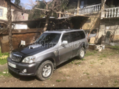 Хендай таракан 