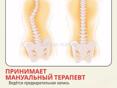 Мануальный терапевт 
