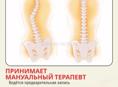 Мануальный терапевт 