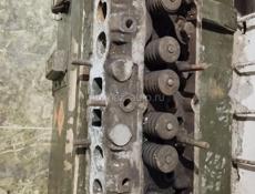 Галочка от 24 