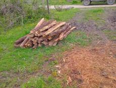 Колышки из акации Сухум