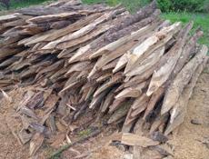 Колышки из акации Сухум