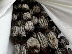 В большом количестве Сушка 