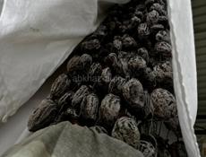 В большом количестве Сушка 