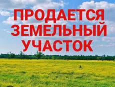 Цитрусовый 6 соток ,500 м до моря