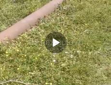 Продам трубу 300сотка 