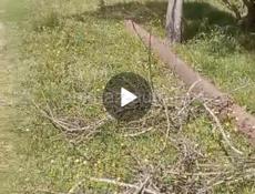 Продам трубу 300сотка 