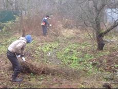 РАСЧИСТКА УЧАСТКОВ,ПОКОС ТРАВЫ