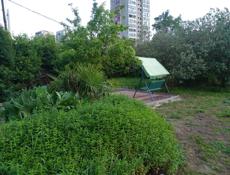 Продам Мелису 