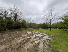 Участок : Эшера ! Срочно 