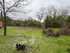 Участок : Эшера ! Срочно 