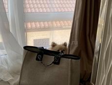 Помощница по дому