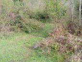 30 сот продам