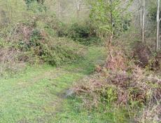 30 сот продам