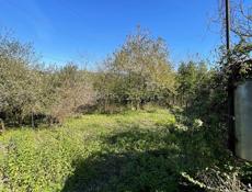 СРОЧНО ДОМ!