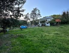 Земельный участок с домом 