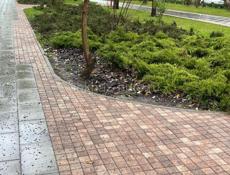 Требуется срочно продавщица .