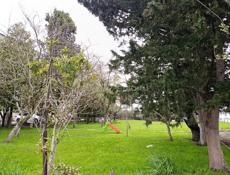 Продаётся до конца месяца. 