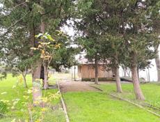 Продаётся до конца месяца. 