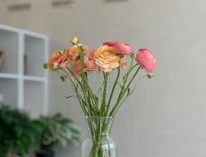 Детский аниматор в отель 