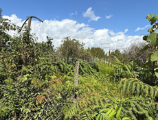 Участок Сухум