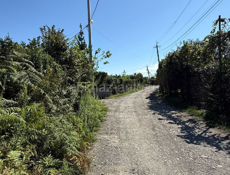 Участок Сухум