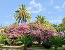 Сдам домик под присмотр
