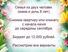 Снимем квартиру или комнату на лето