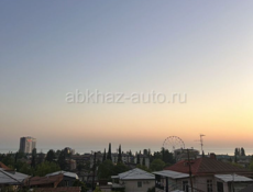 Сдаю до июня 