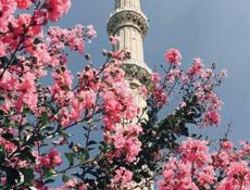 Нужны модели