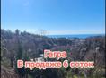 6 соток в Гаграх 