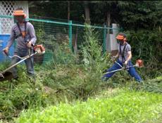 РАСЧИСТКА УЧАСТКОВ