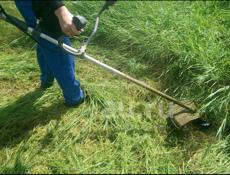 РАСЧИСТКА УЧАСТКОВ