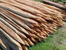 Продаю колошки 