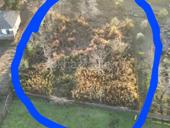 16 соток рядом с аэропортом