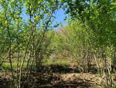 ПРОДАЮ ДОМ В ГАЛАХ ТОРГ ПРИВЕТСТВУЕТЬСЯ✅