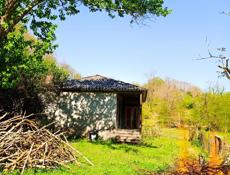 ПРОДАЮ ДОМ В ГАЛАХ ТОРГ ПРИВЕТСТВУЕТЬСЯ✅