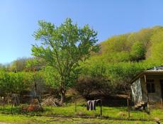 ПРОДАЮ ДОМ В ГАЛАХ ТОРГ ПРИВЕТСТВУЕТЬСЯ✅