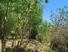 ПРОДАЮ ДОМ В ГАЛАХ ТОРГ ПРИВЕТСТВУЕТЬСЯ✅